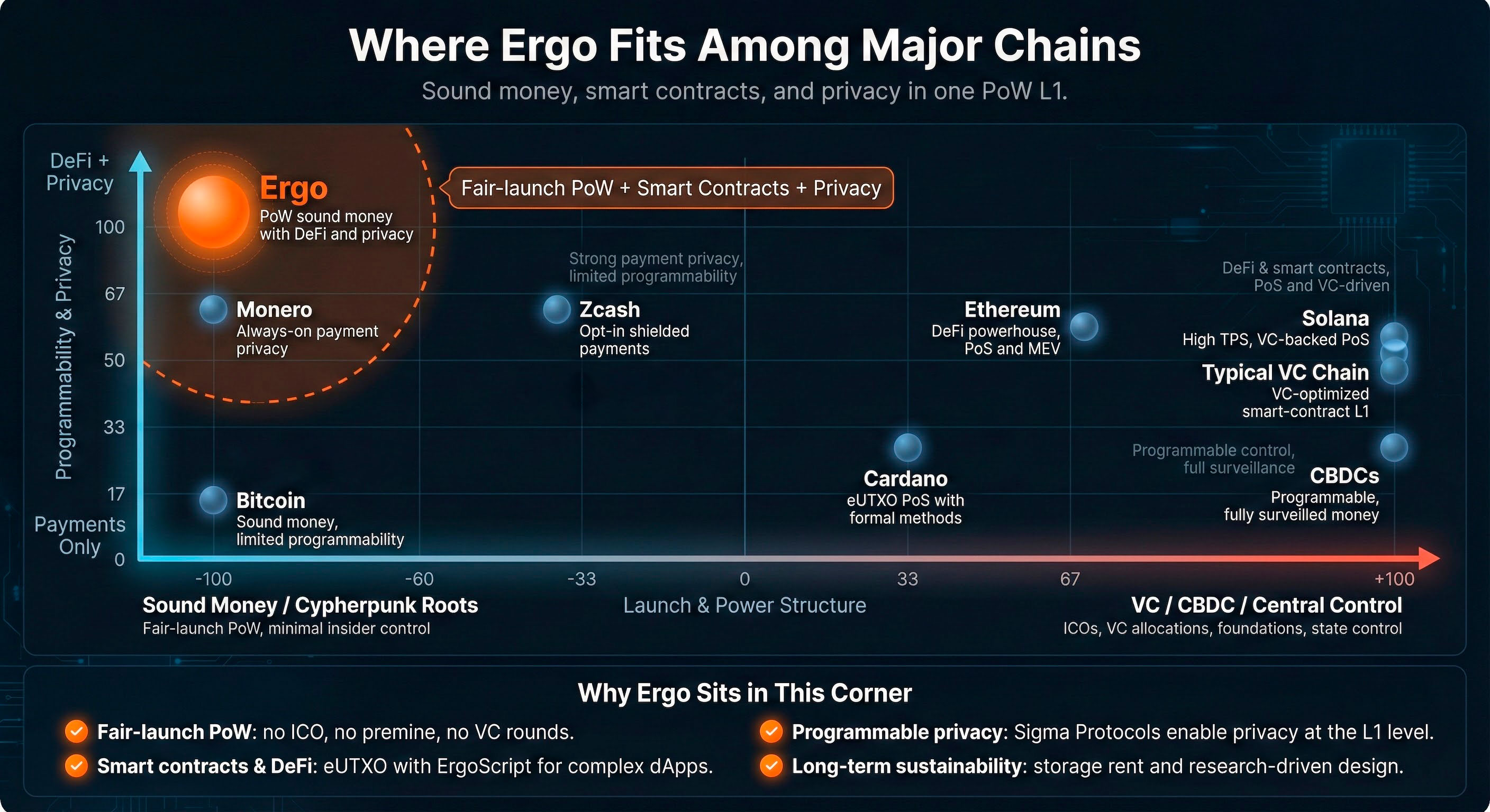 Where Ergo Fits Among Major Chains